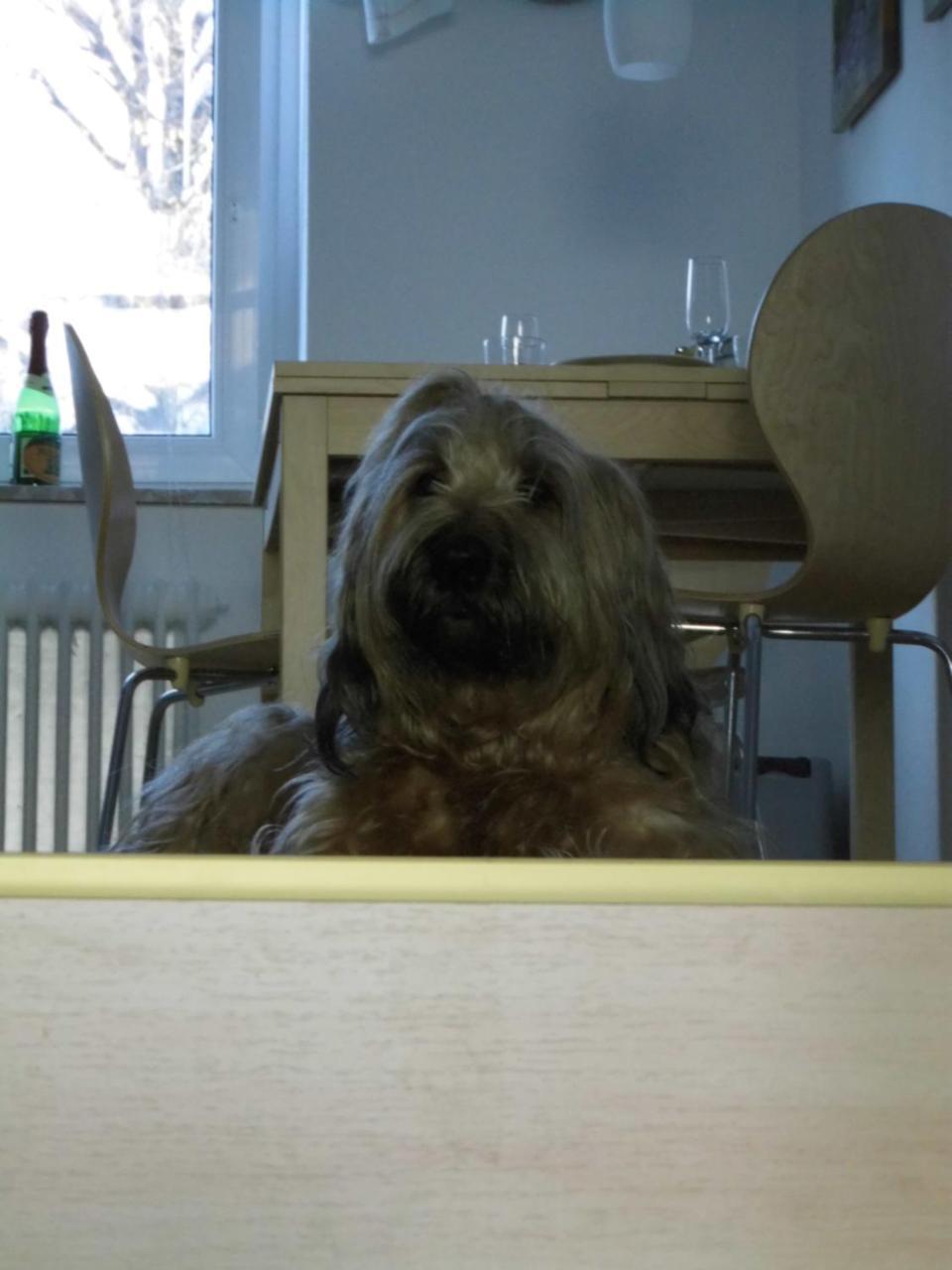 Ferienappartement Potthoff 1 アルテンアウ エクステリア 写真
